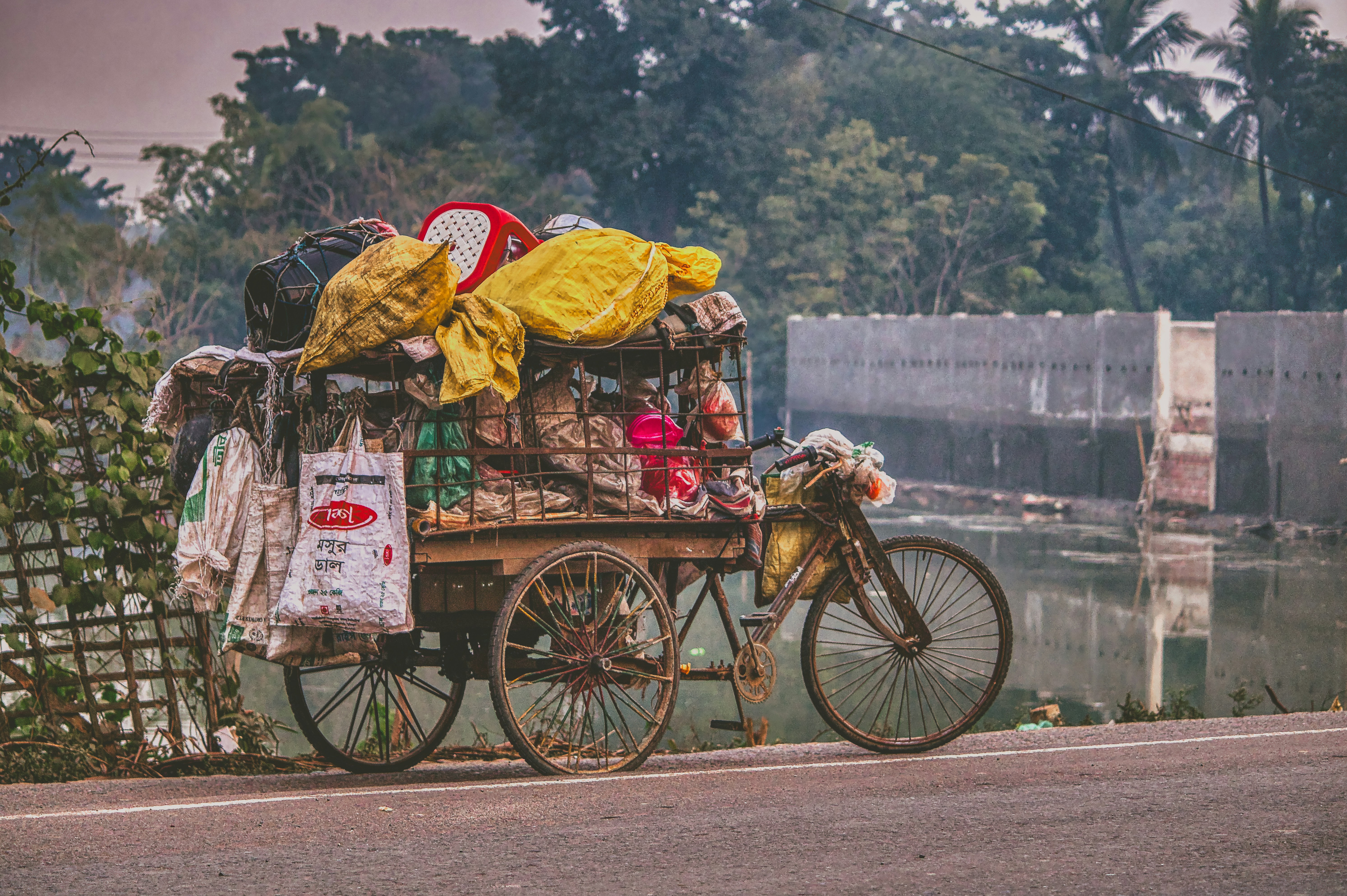 Photo by tanvirahmed2232