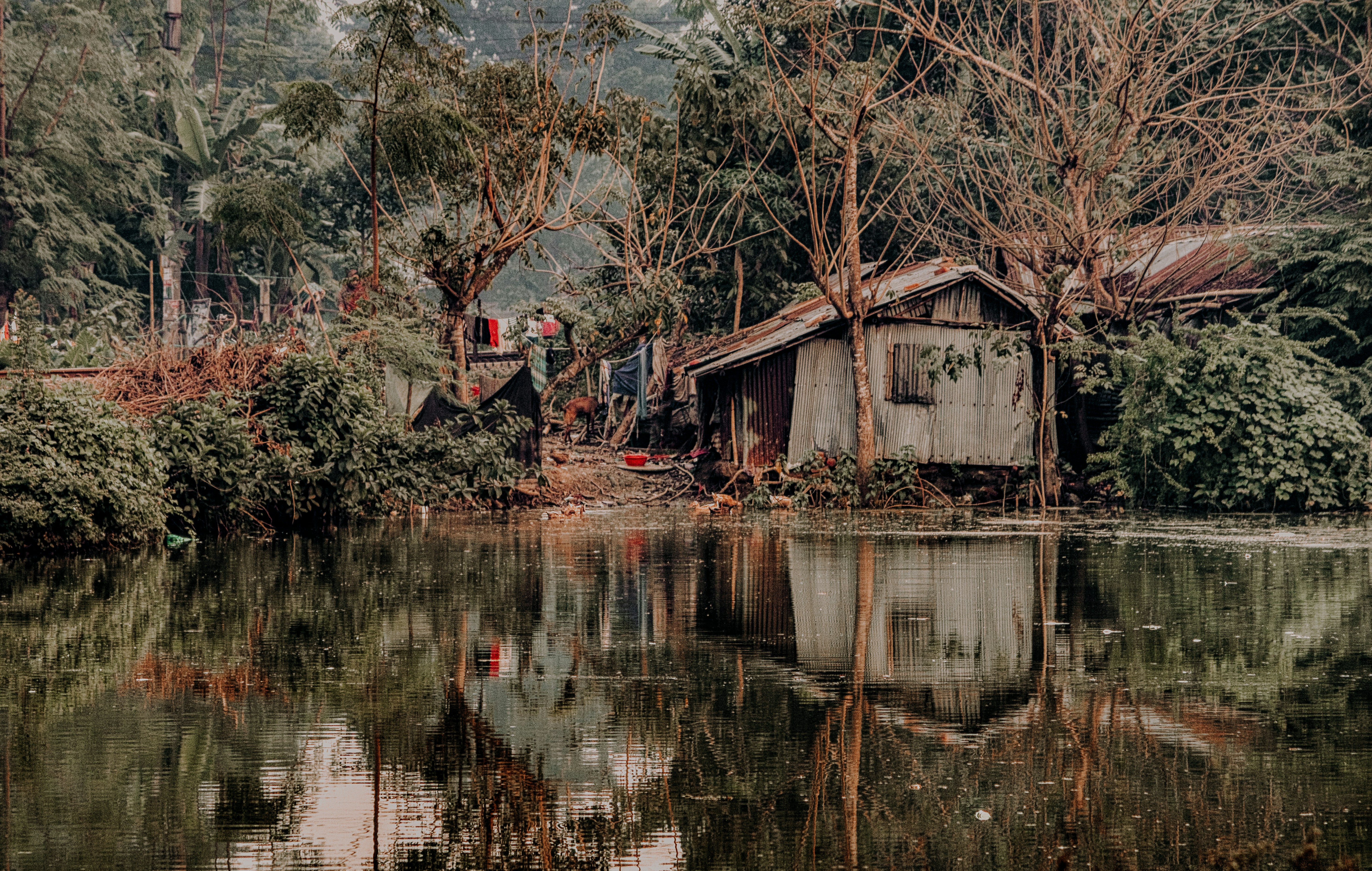 Photo by tanvirahmed2232