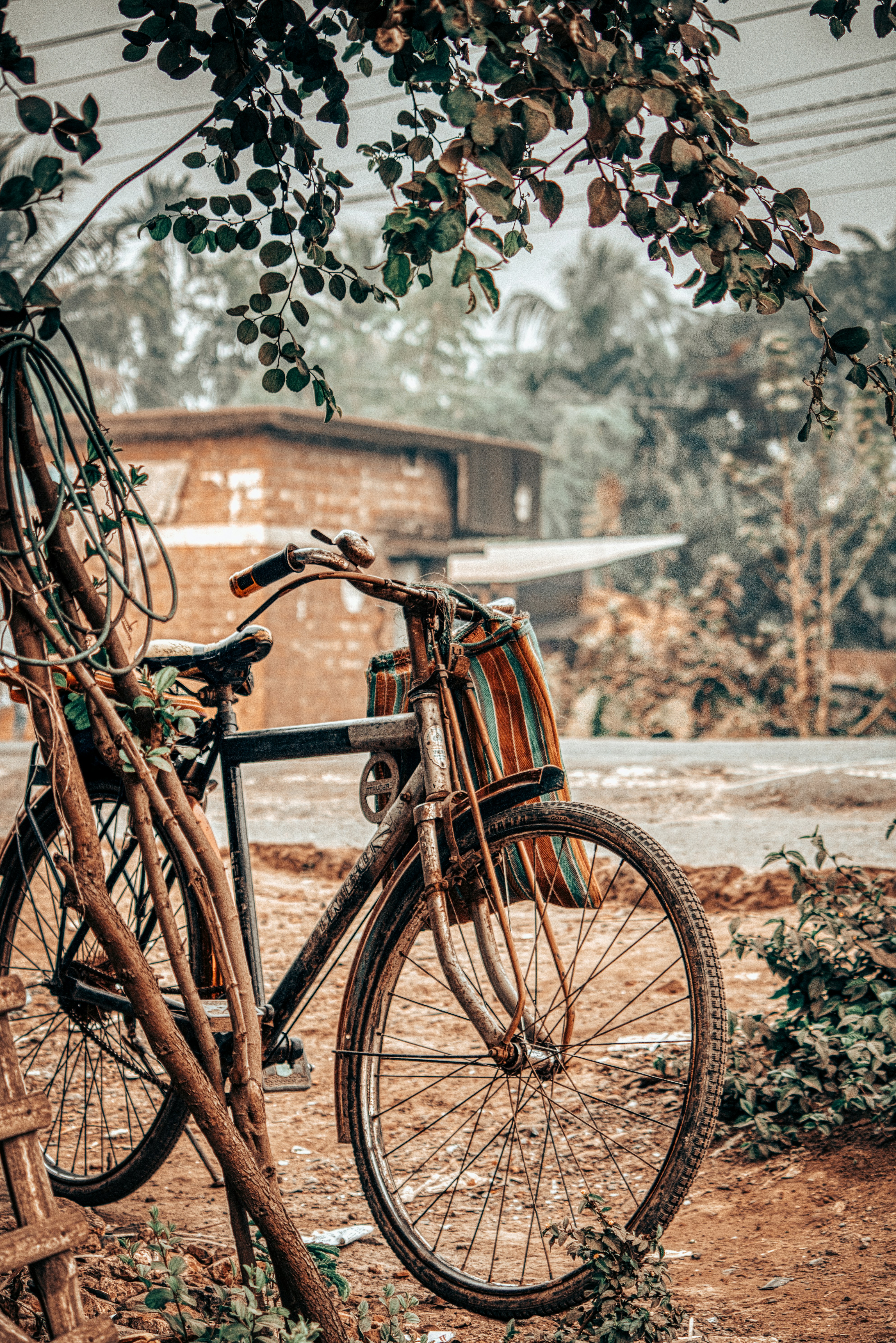 Photo by tanvirahmed2232