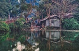 A small rustic house with a corrugated metal roof is nestled among lush green trees and shrubs. The structure is partially obscured by vegetation, and laundry is hanging outside. In the foreground, a tranquil body of water reflects the house, trees, and sky, enhancing the serene and somewhat isolated ambiance.