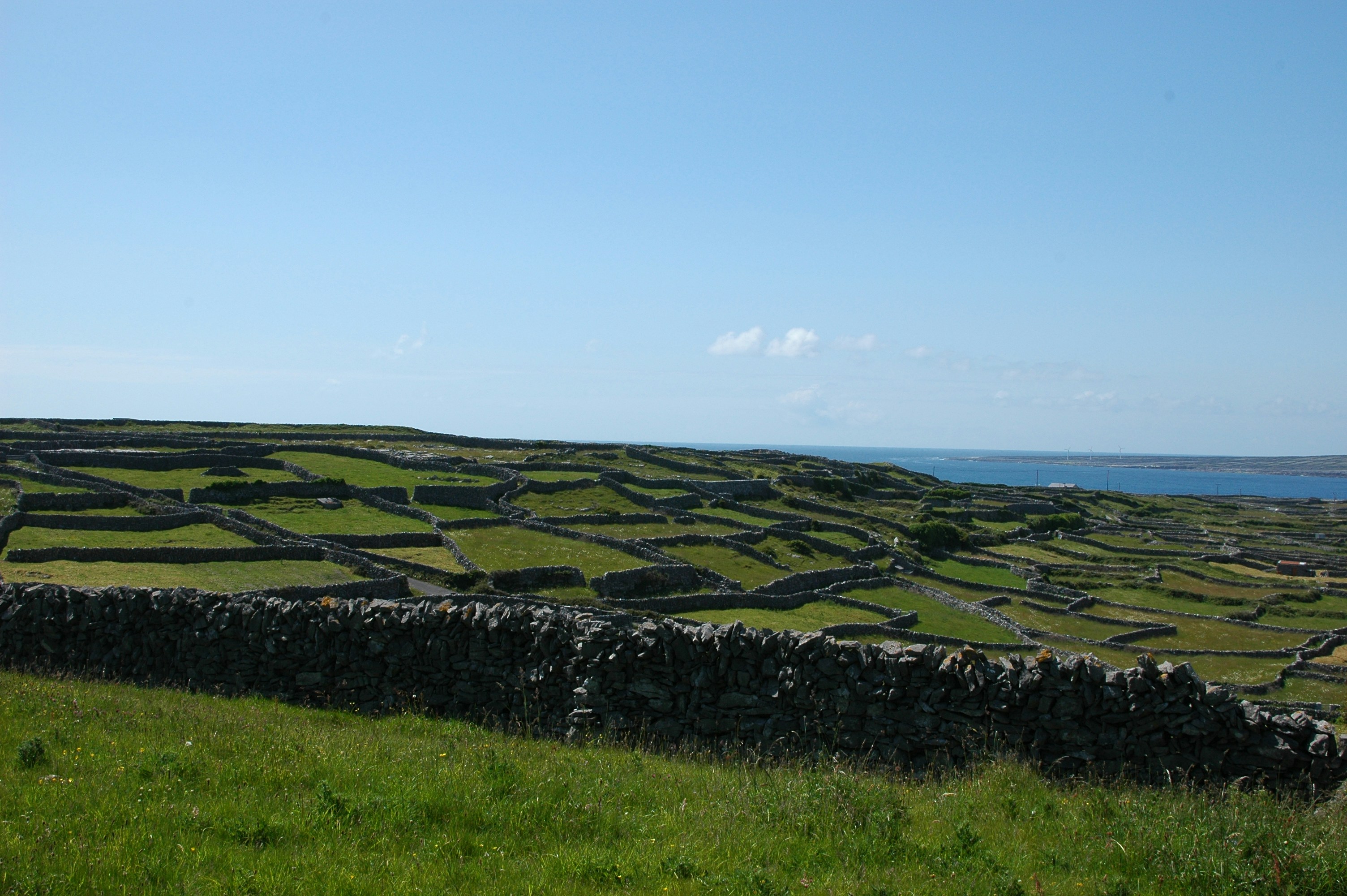 a grassy field with a stone wall in the middle