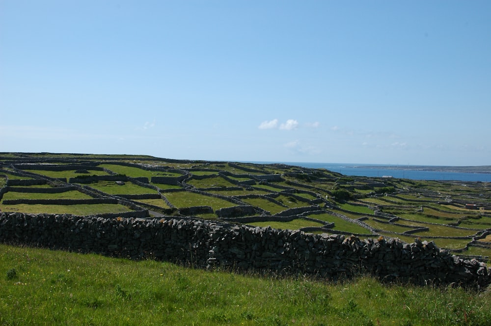 ein grasbewachsenes Feld mit einer Steinmauer in der Mitte