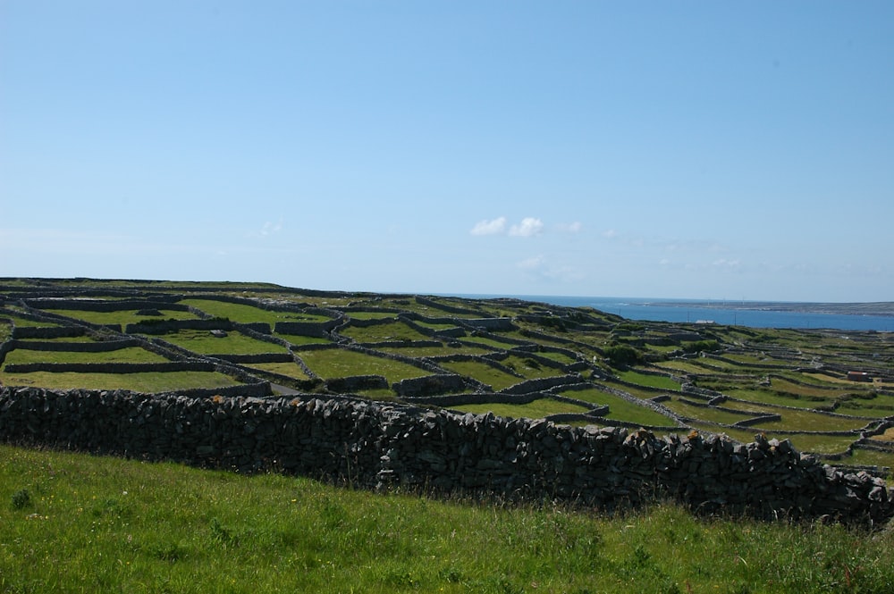un campo cubierto de hierba con un muro de piedra en el centro
