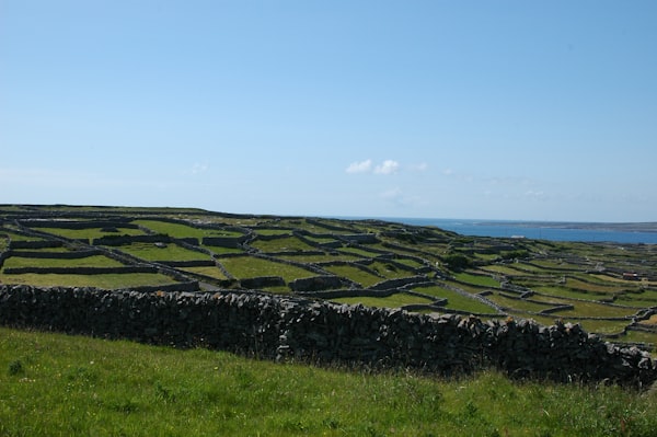 Irish green fields