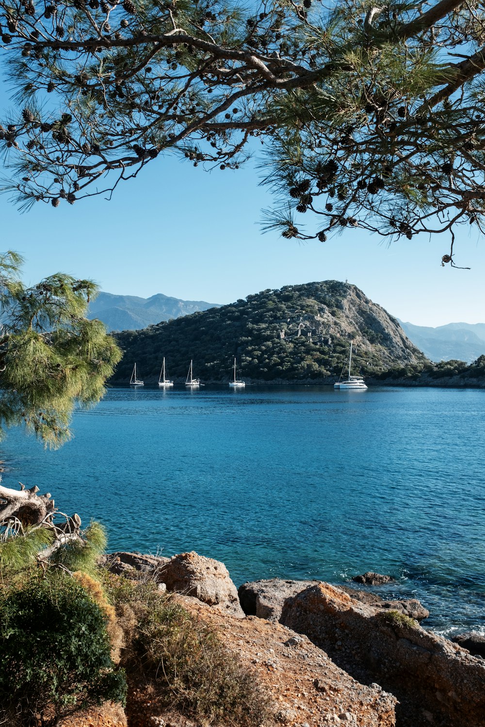 a large body of water surrounded by trees