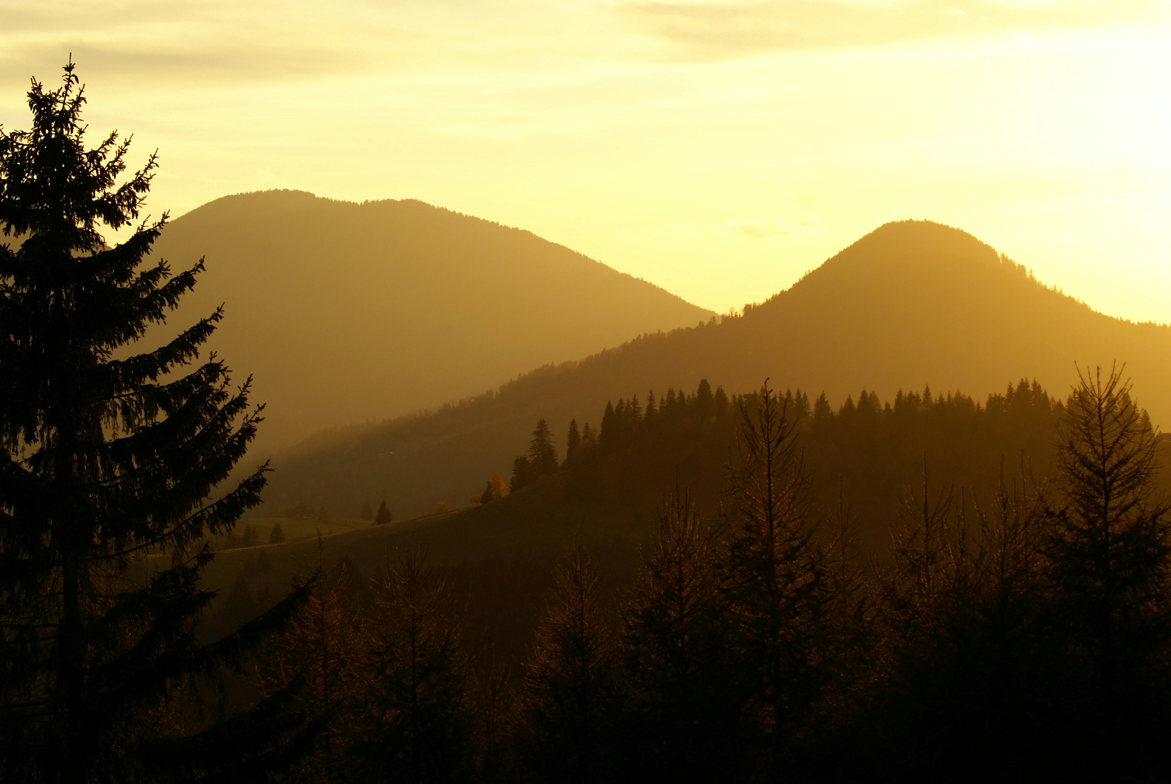 Photo by anamariavisuals