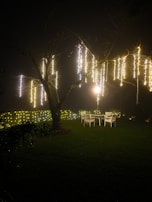 Outdoor lighting casting warm glows on a beautifully shaped tree and patio area.