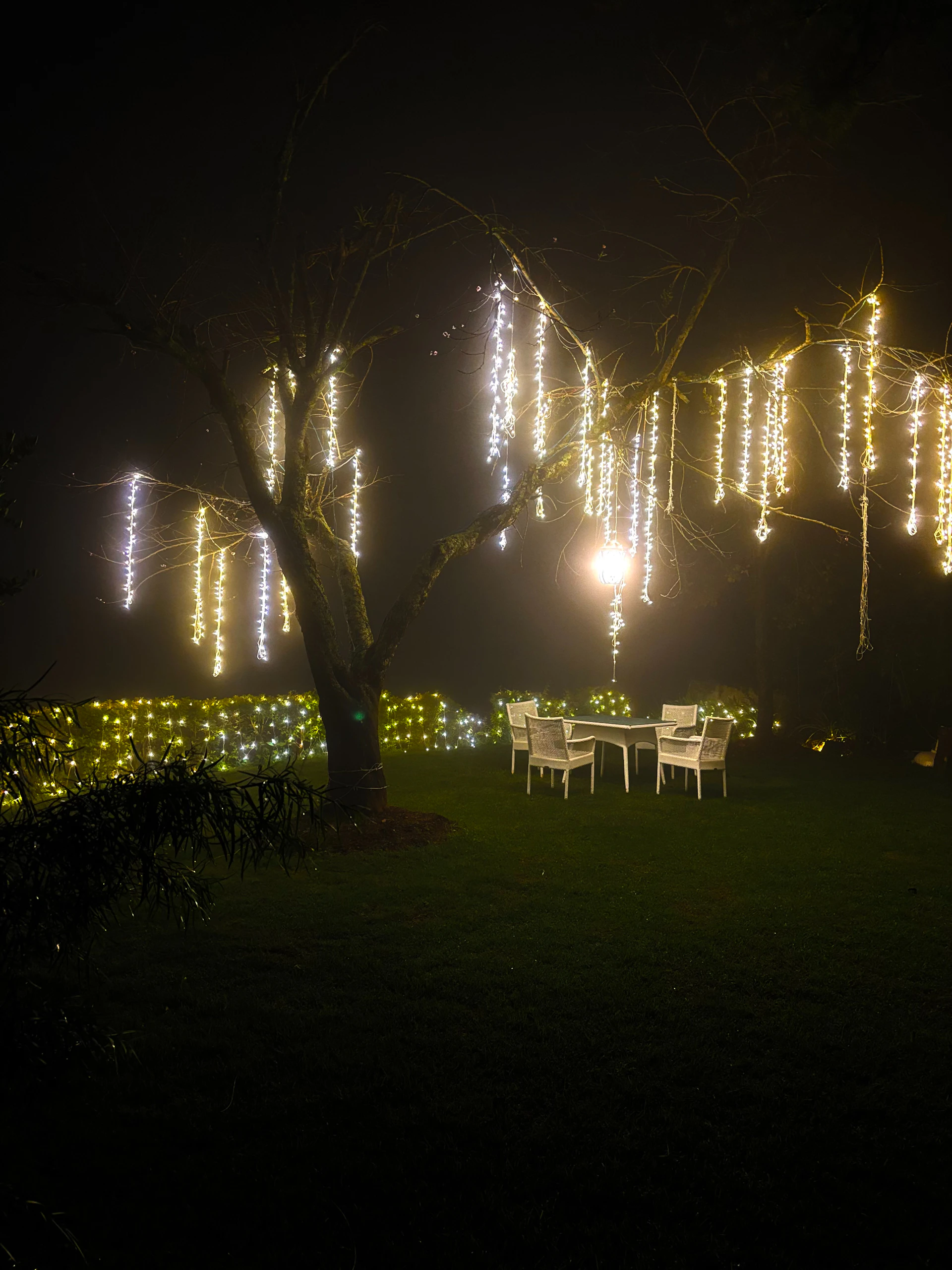 woman holding dried flower