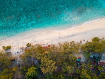 An aerial view of a picturesque beach with turquoise waters gently lapping onto a sandy shoreline. The beach is lined with a row of sun loungers and umbrellas, suggesting a relaxing getaway. Dense greenery and trees form a natural border on the inland side, providing shade and privacy.