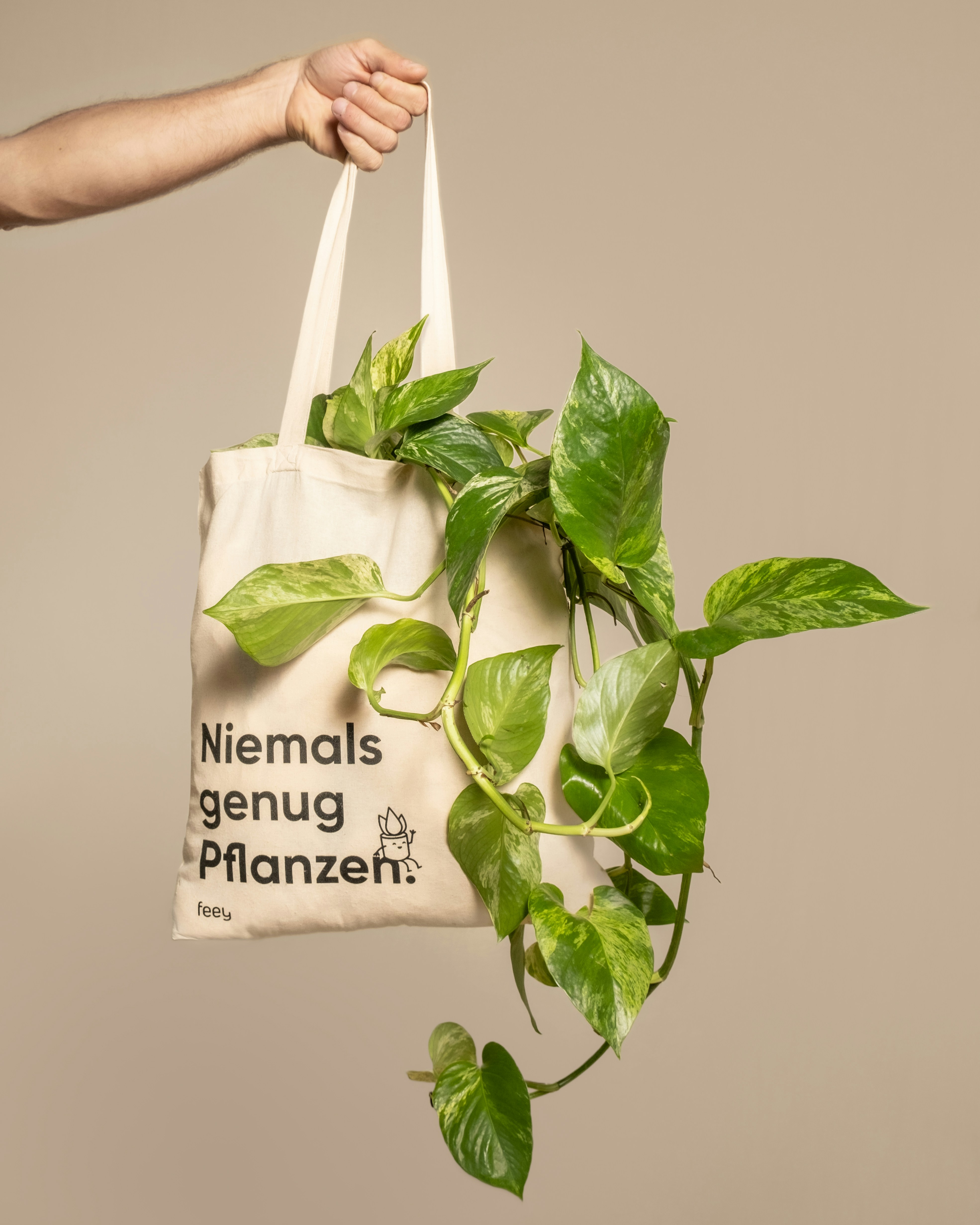Reusable shopping bag filled with groceries