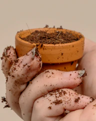 A close-up of hands holding a well-used garden trowel with fresh soil and blooming flowers in the background.