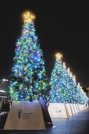 A row of illuminated Christmas trees adorned with colorful lights and ornaments stand on a city street at night. A golden star tops each tree, and the base displays the logo of the Singapore Cancer Society.