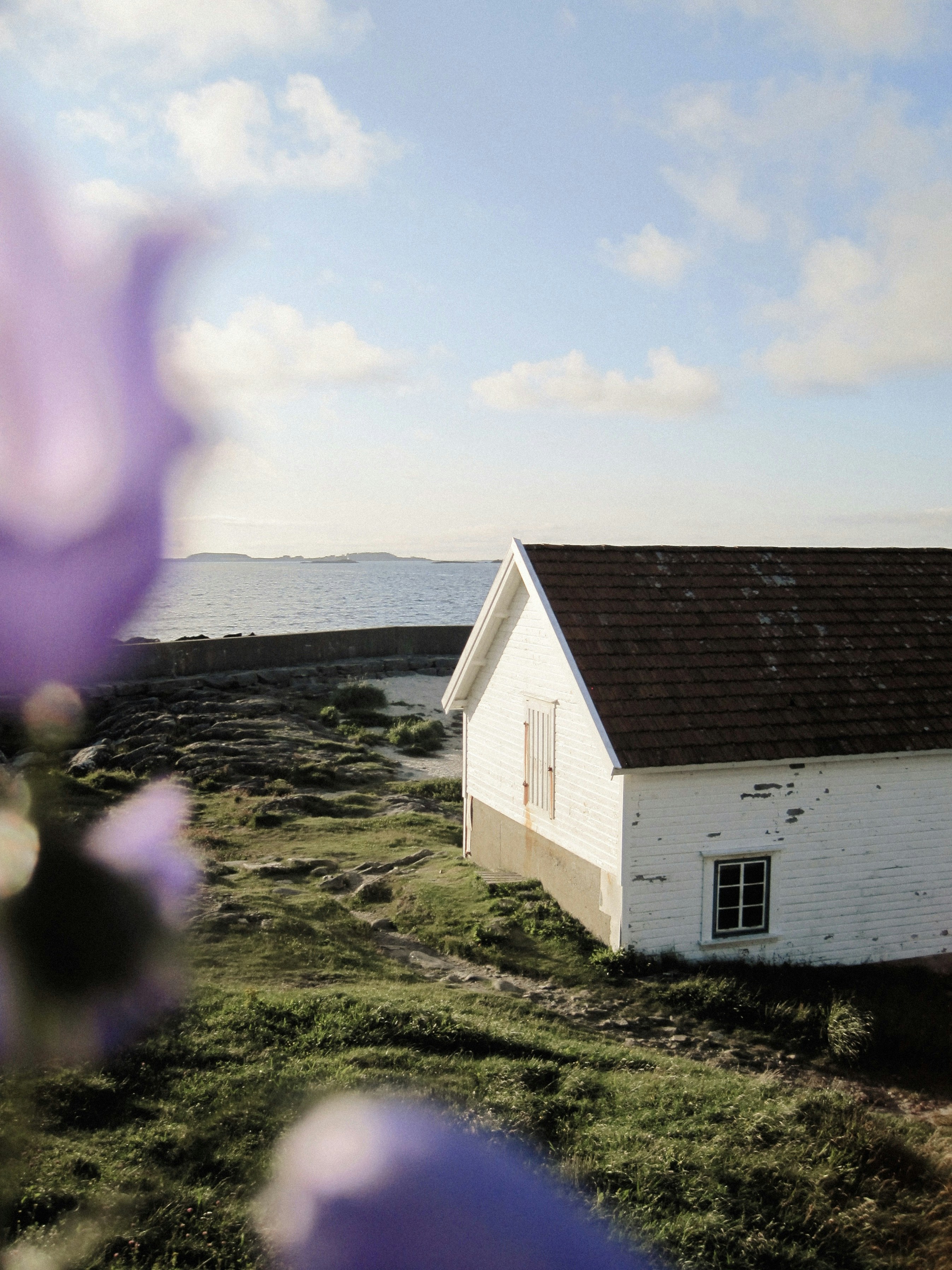 Photo by annaxphiline