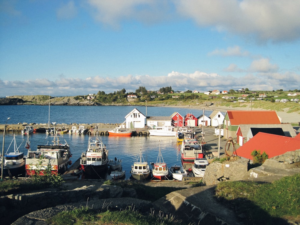 a harbor filled with lots of boats on top of a body of water