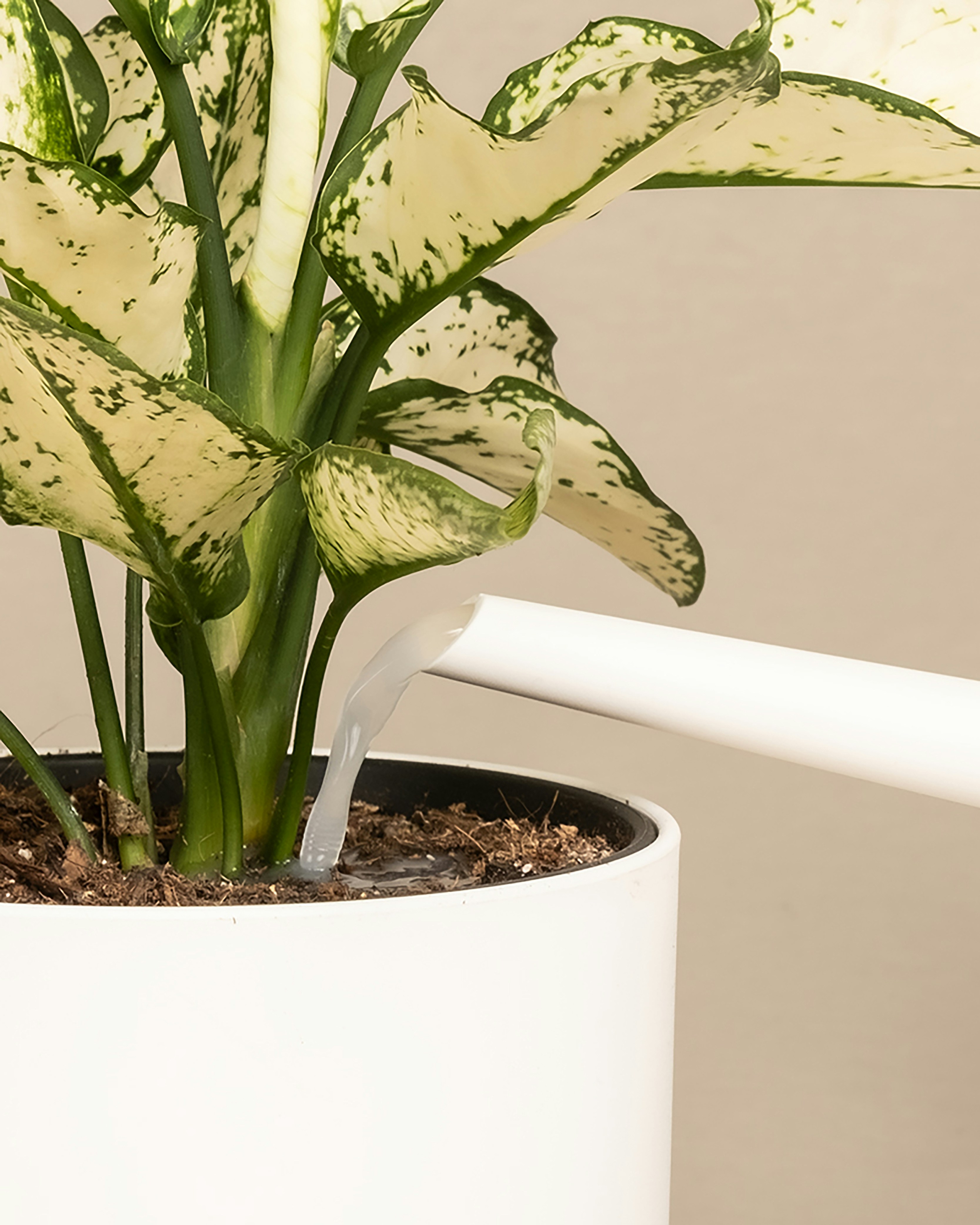 Planters idea 4