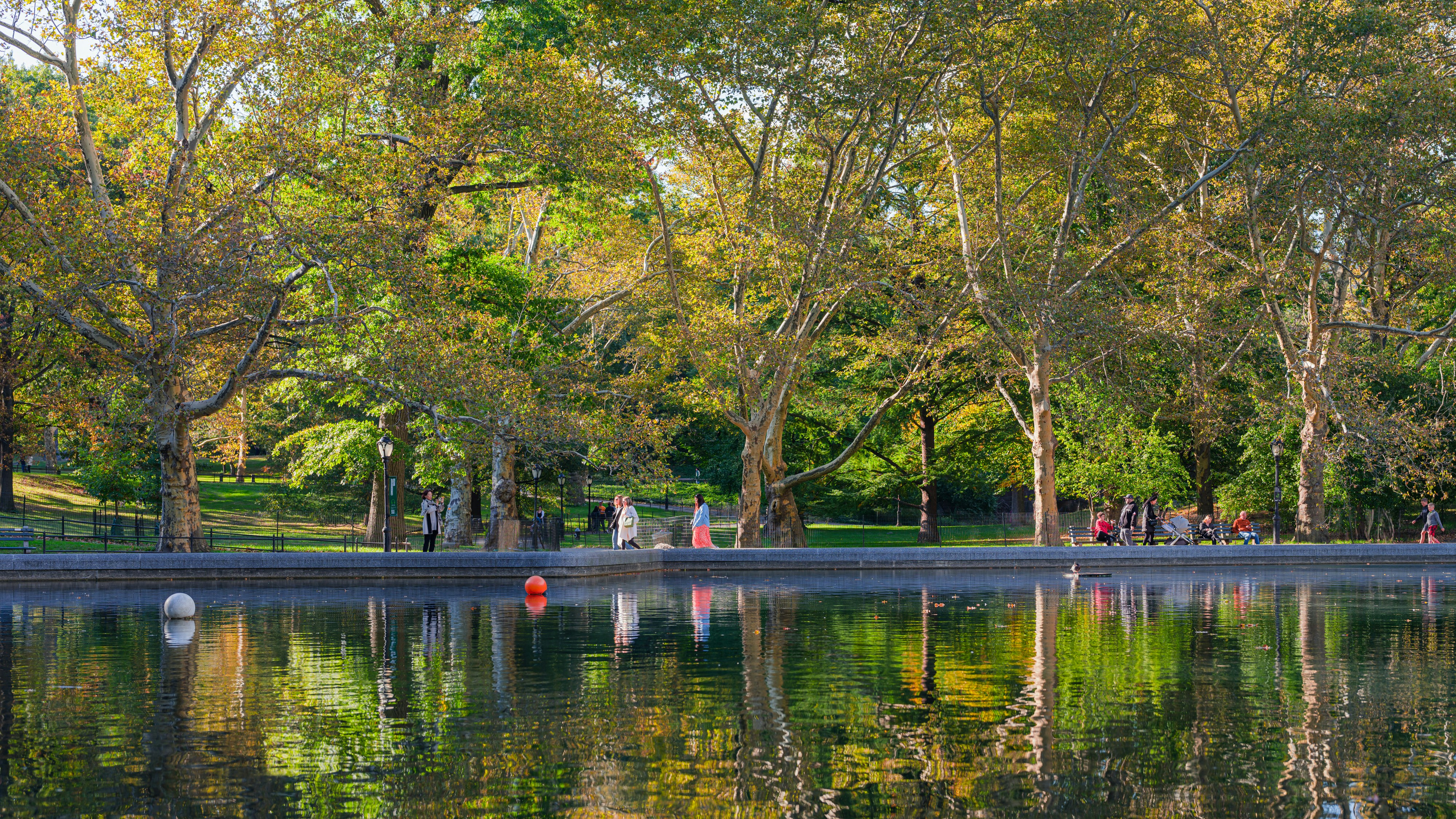 Photo by lumin_osity