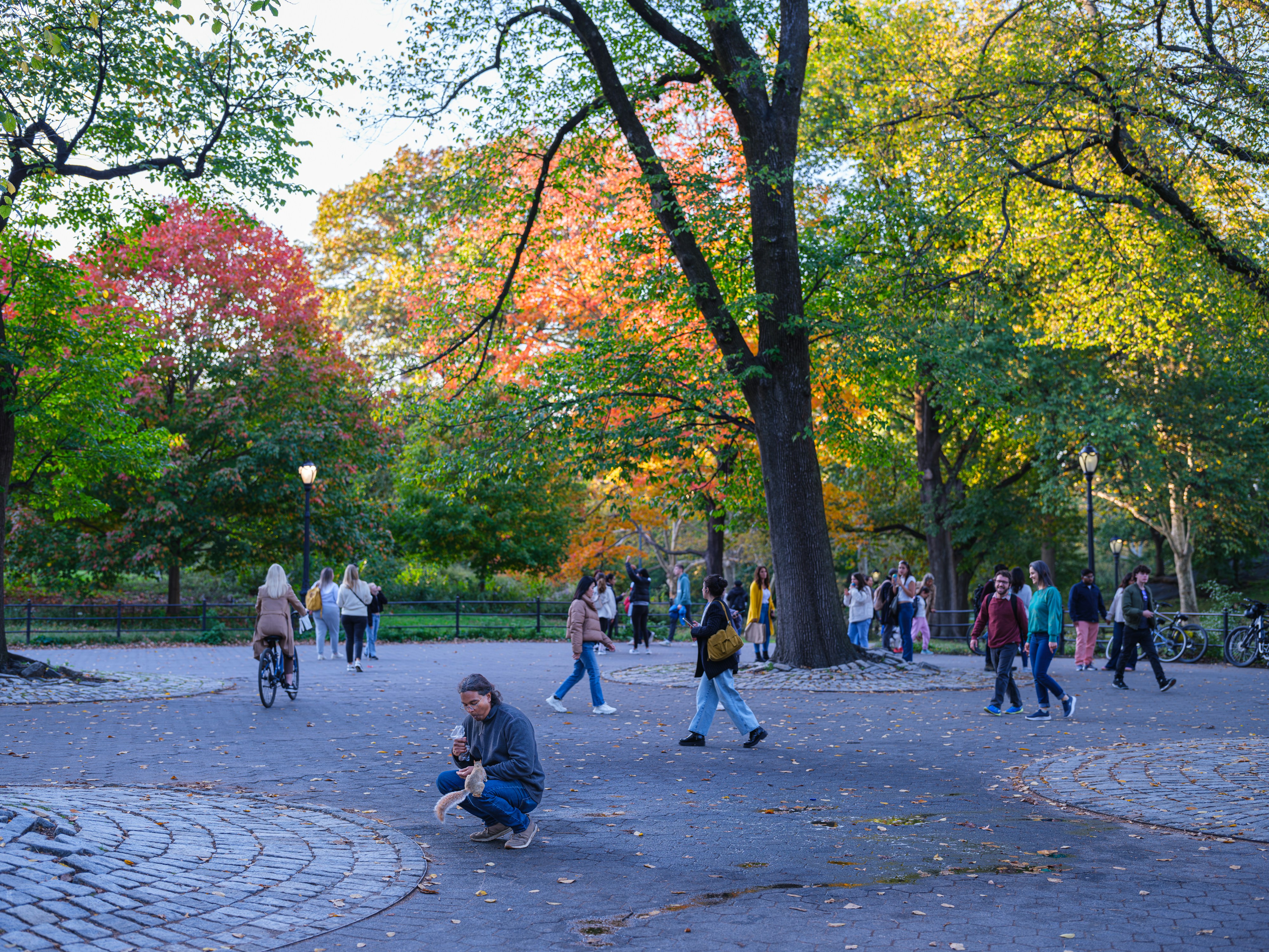 Photo by lumin_osity