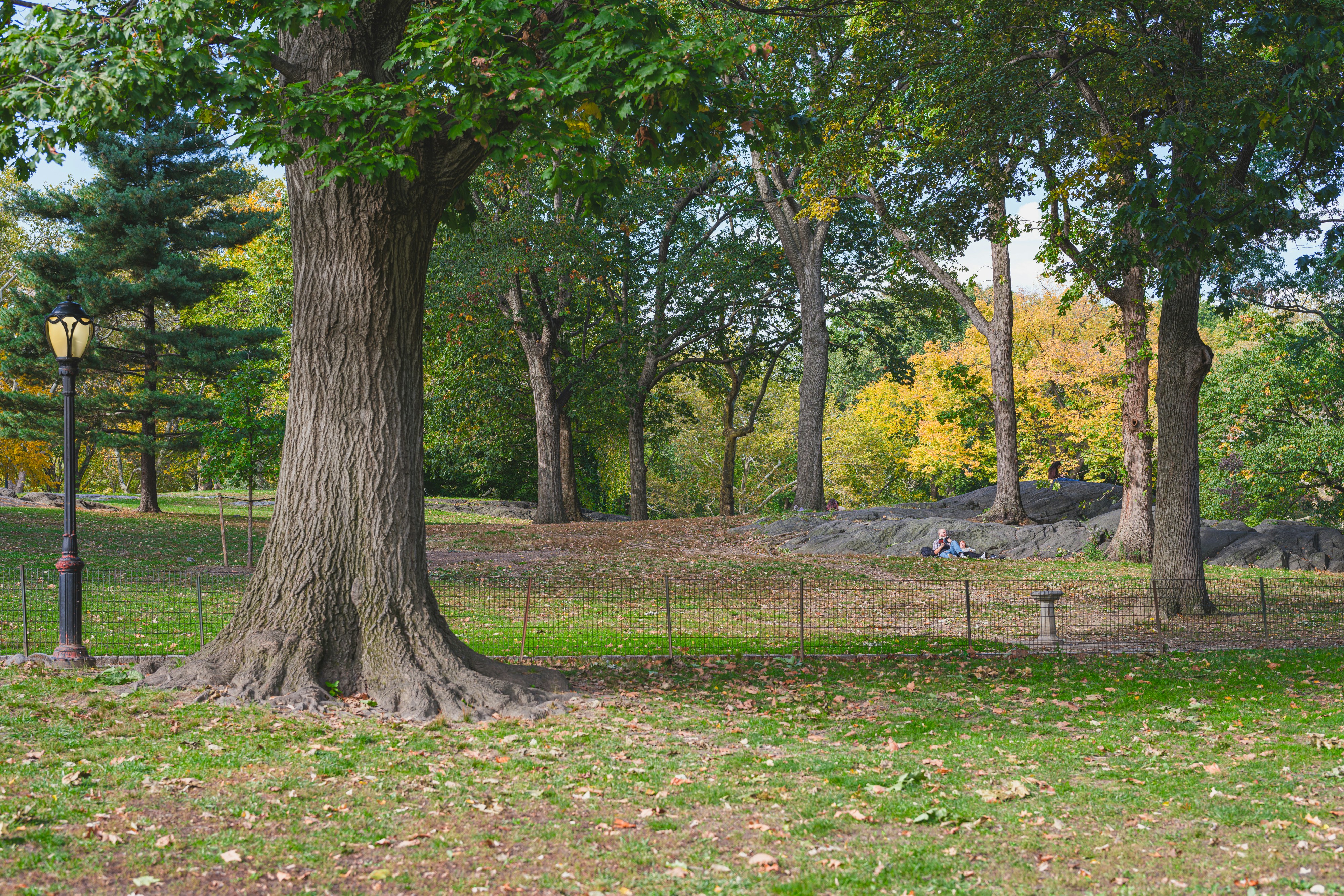 Photo by lumin_osity