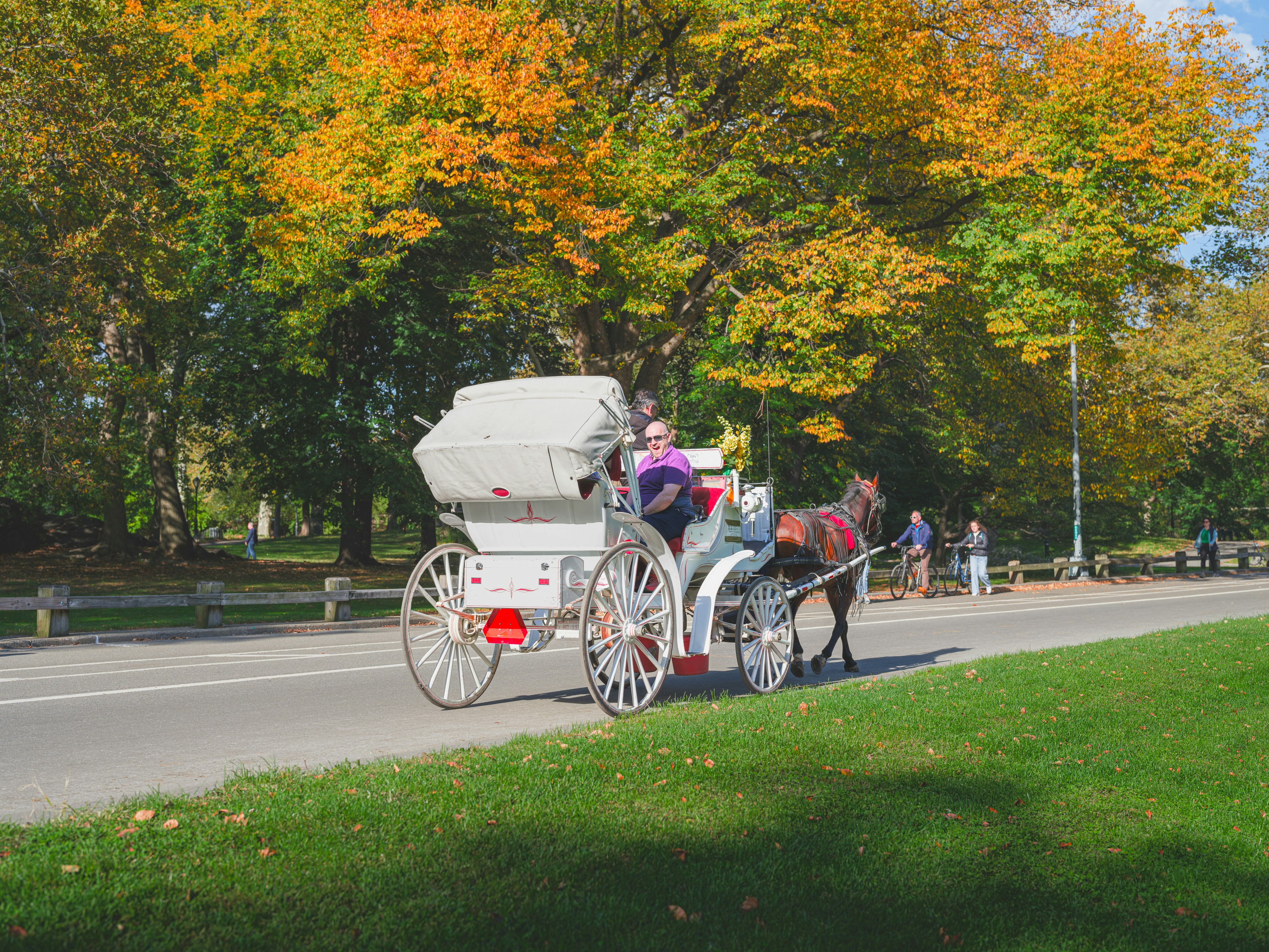 Carriage Park