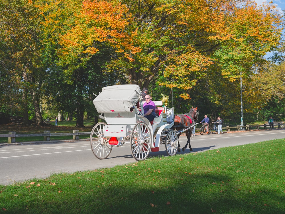 a horse drawn carriage traveling down a road