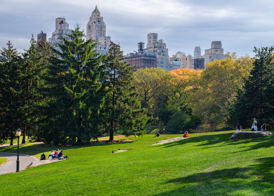 A group relaxing on the lawn in Central Park