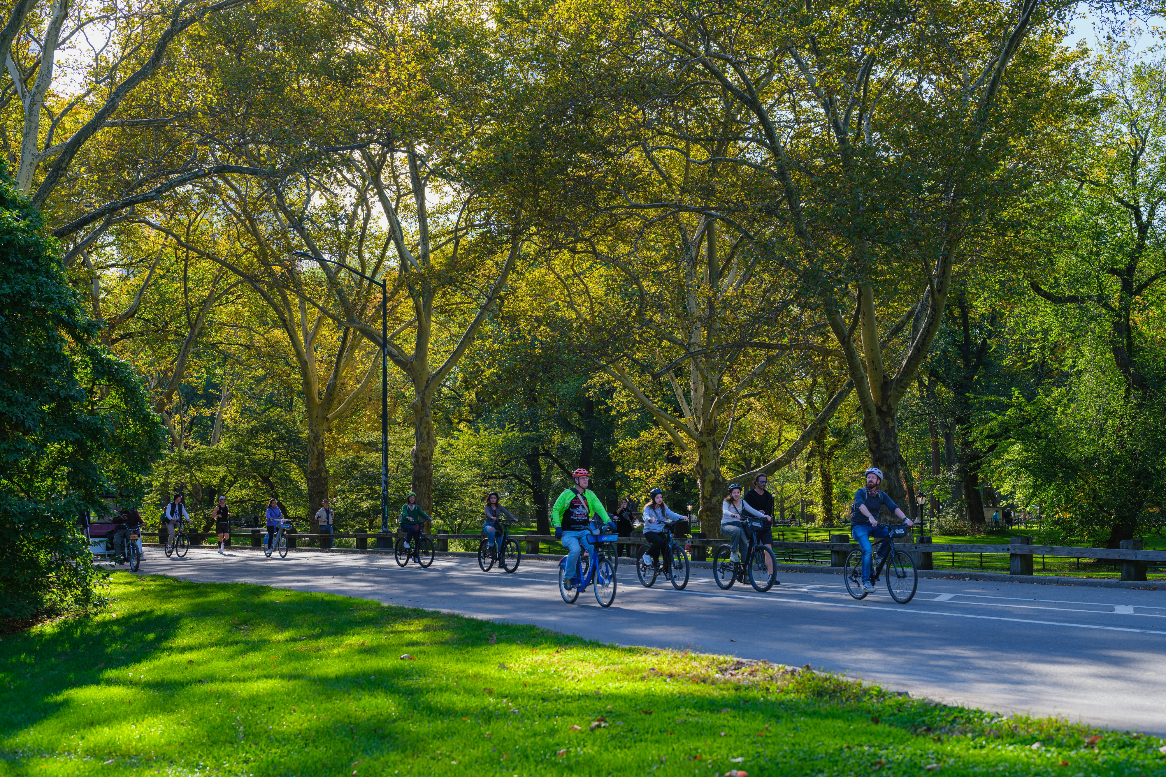 Cubbon Park tree-lined avenue with joggers, lush canopy, and dappled sunlight on a peaceful morning