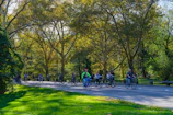 A group of cyclists riding through a leafy park trail on a sunny afternoon.