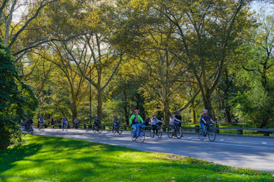 A group of cyclists riding through a leafy park trail on a sunny afternoon.
