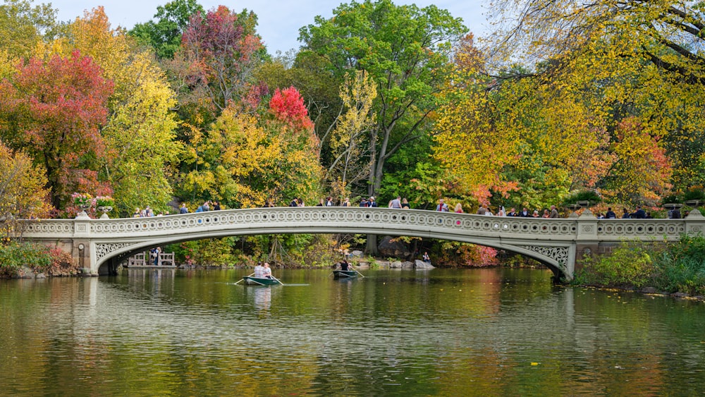 a bridge over a body of water surrounded by trees
