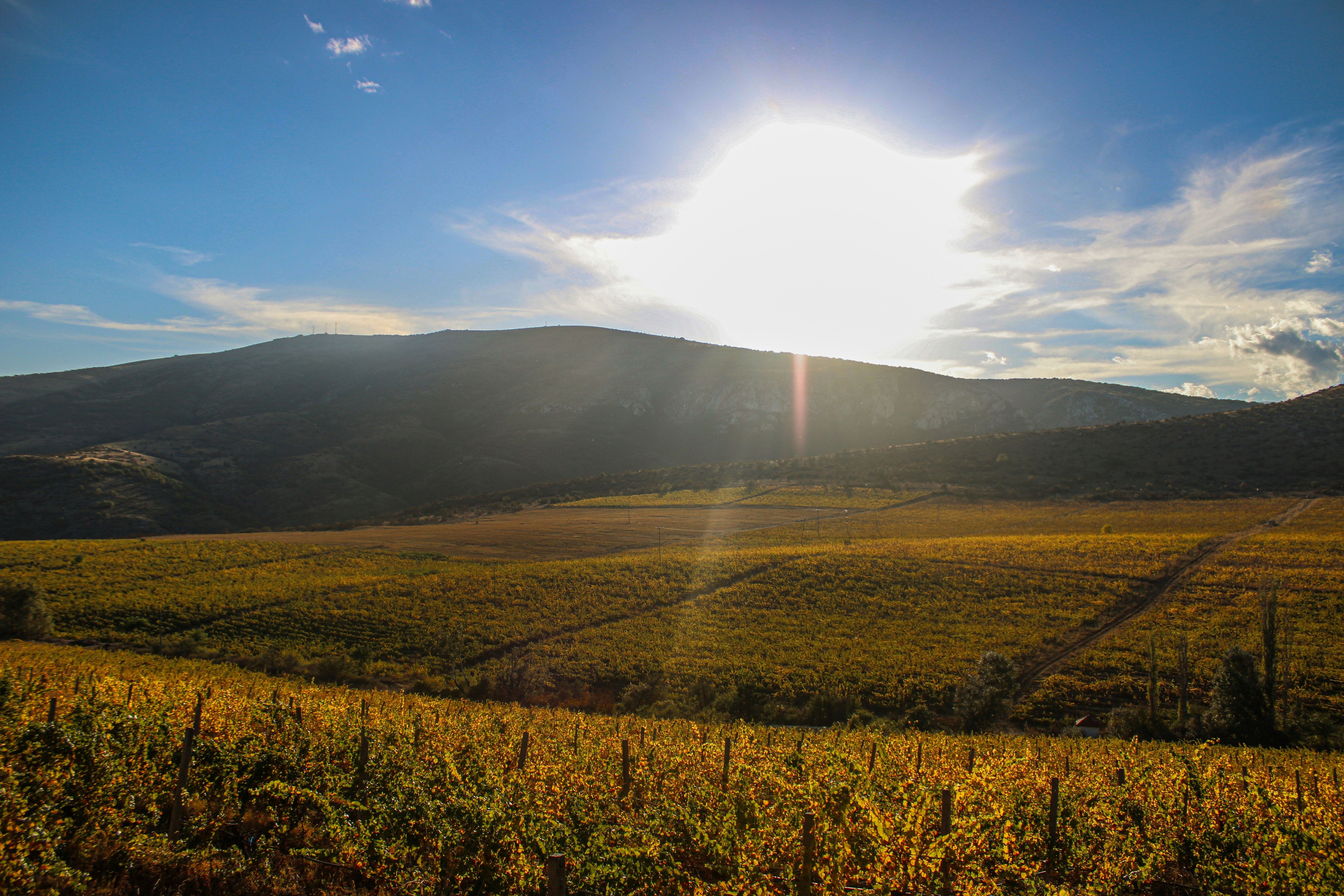 Photo by tatjana_123