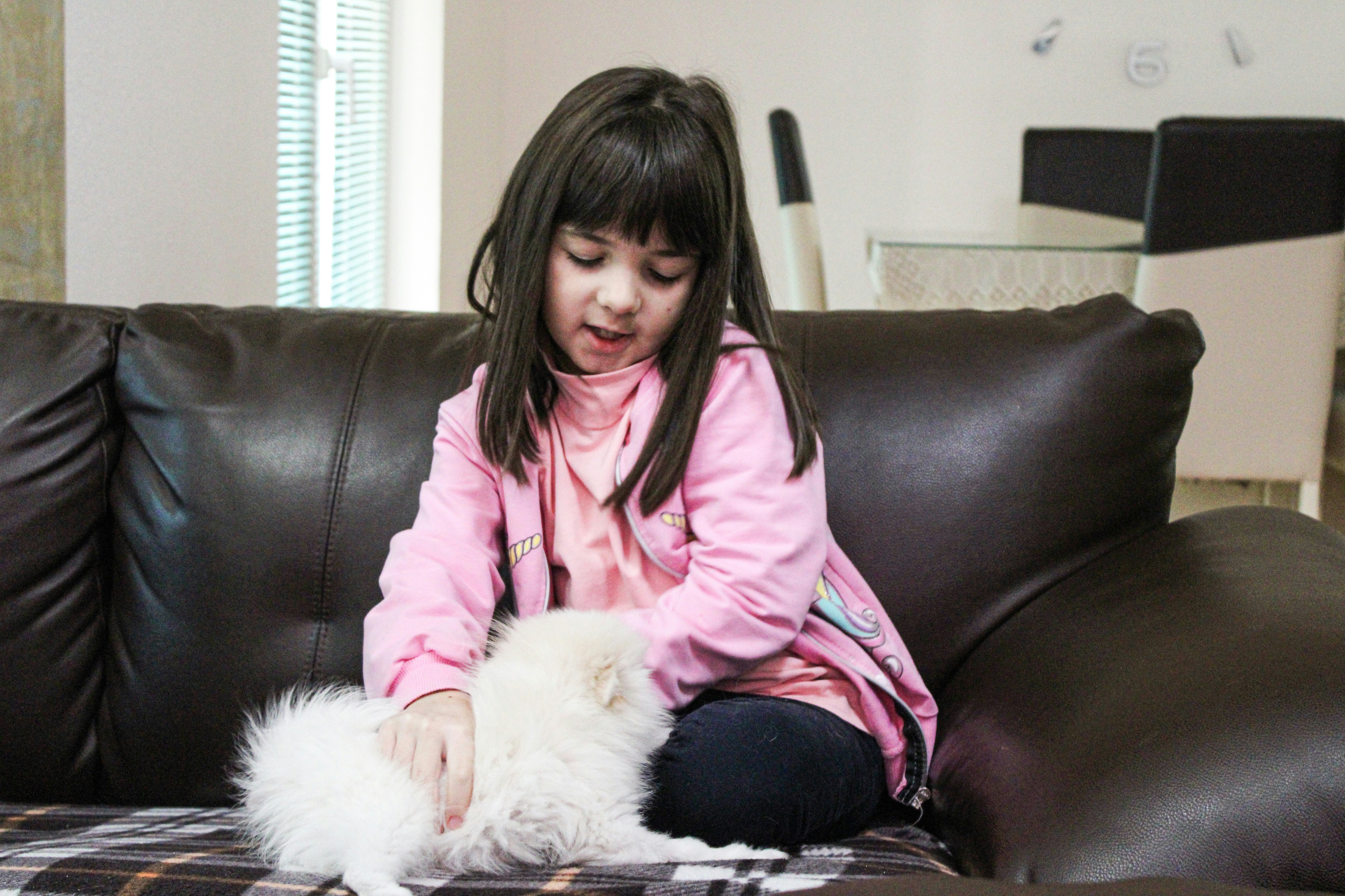 a little girl sitting on a couch petting a white dog