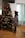 A child wearing a pink beret and a gray poncho stands next to a decorated Christmas tree. The tree is adorned with red and gold ornaments, lights, and large glittery bows. The setting is an indoor living room with hardwood floors and a large window with vertical blinds behind the tree.