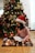 A child wearing a Santa hat sits on a checked blanket on the wooden floor, surrounded by Christmas lights, while reading a book. The decorated Christmas tree behind them is adorned with red and gold ornaments, including large bows and baubles. The warm glow of the lights creates a cozy, festive atmosphere.