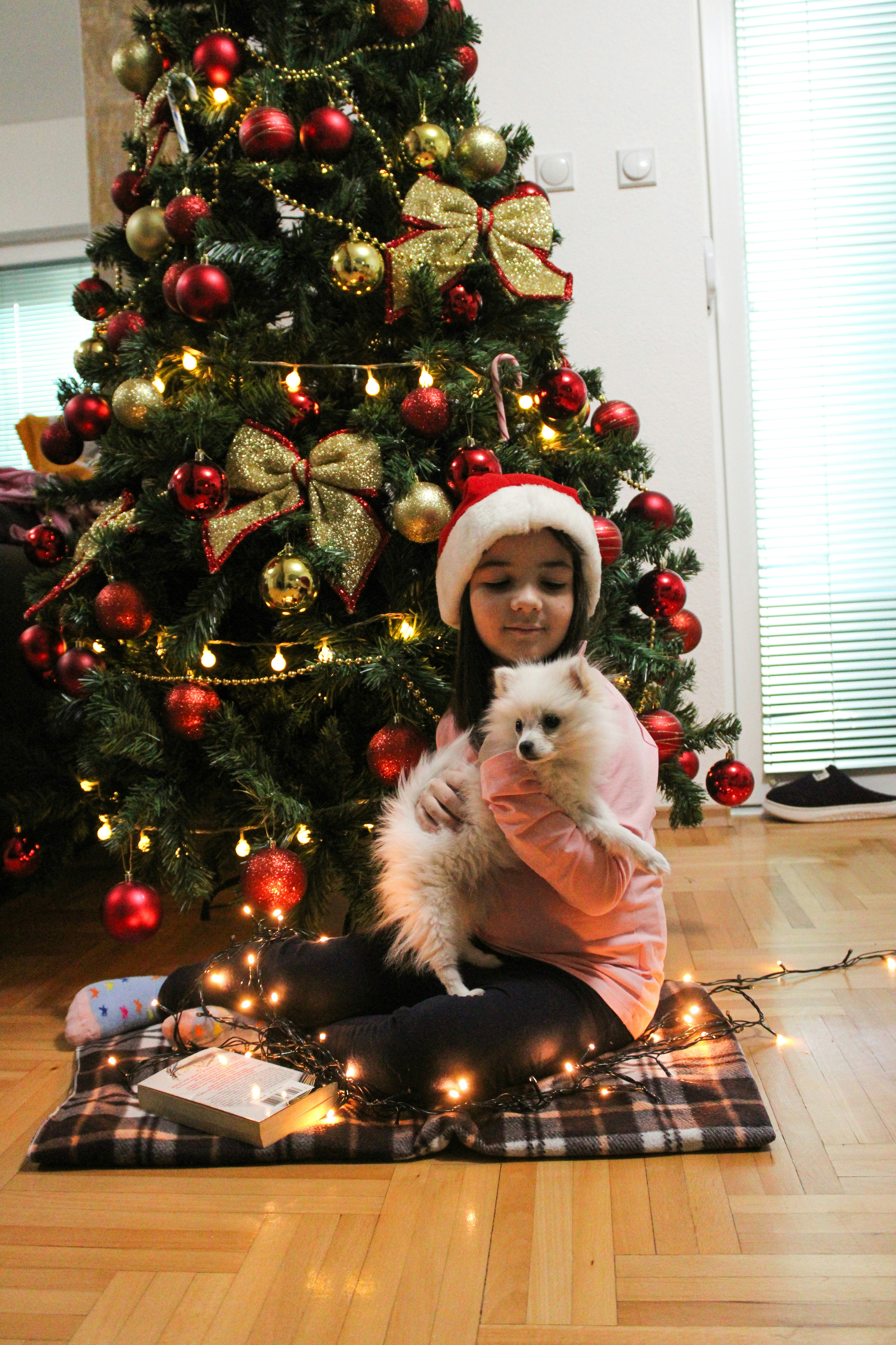 a little girl sitting on the floor holding a dog