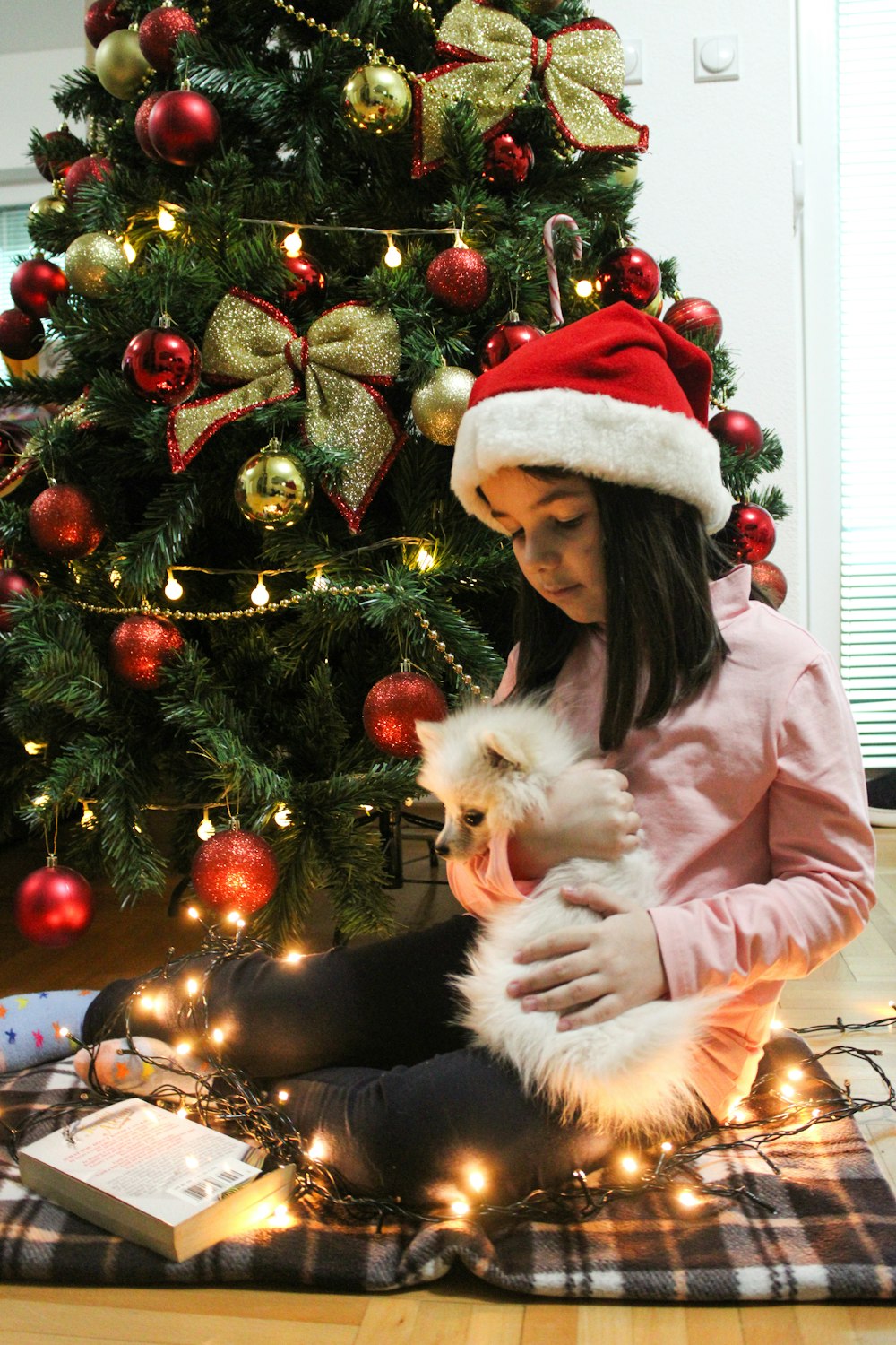 a girl in a santa hat holding a small white dog