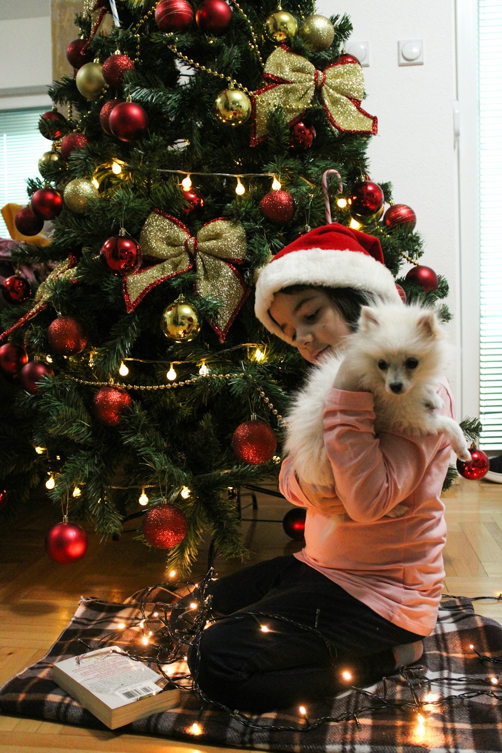 a woman in a santa hat holding a small dog