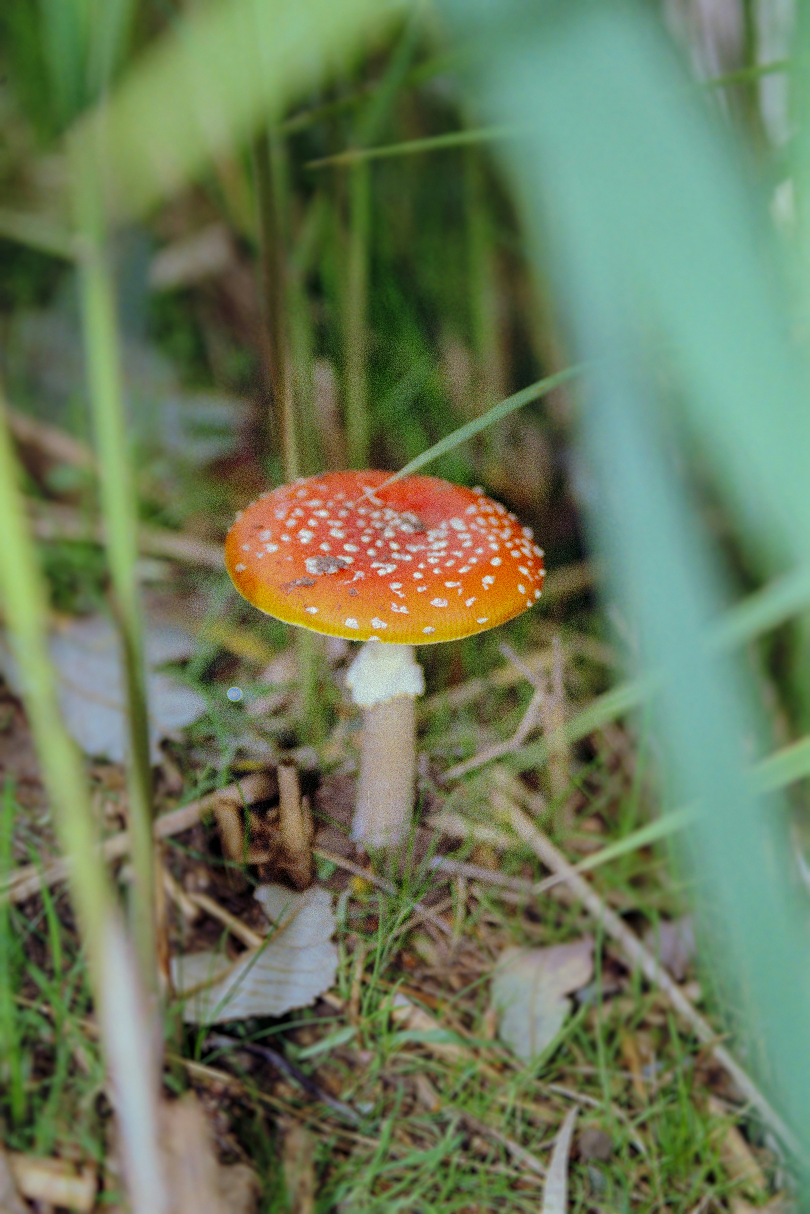 Photo by artistseyes