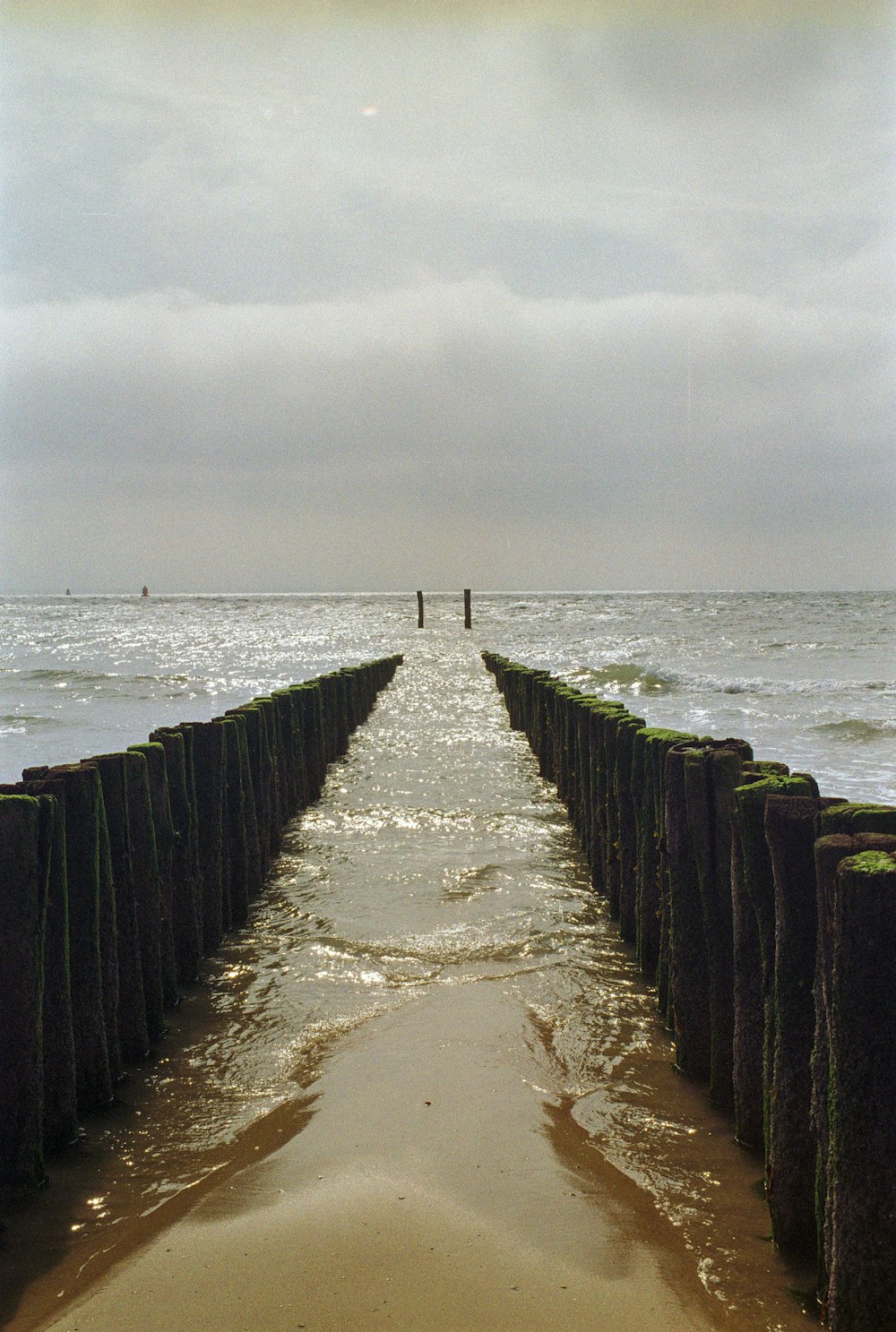 a couple of people standing on top of a wooden pier