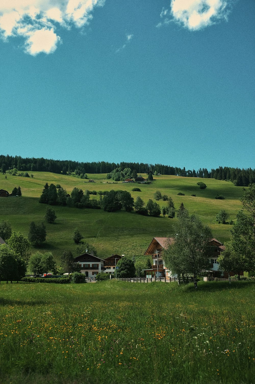 a green field with a house on top of it