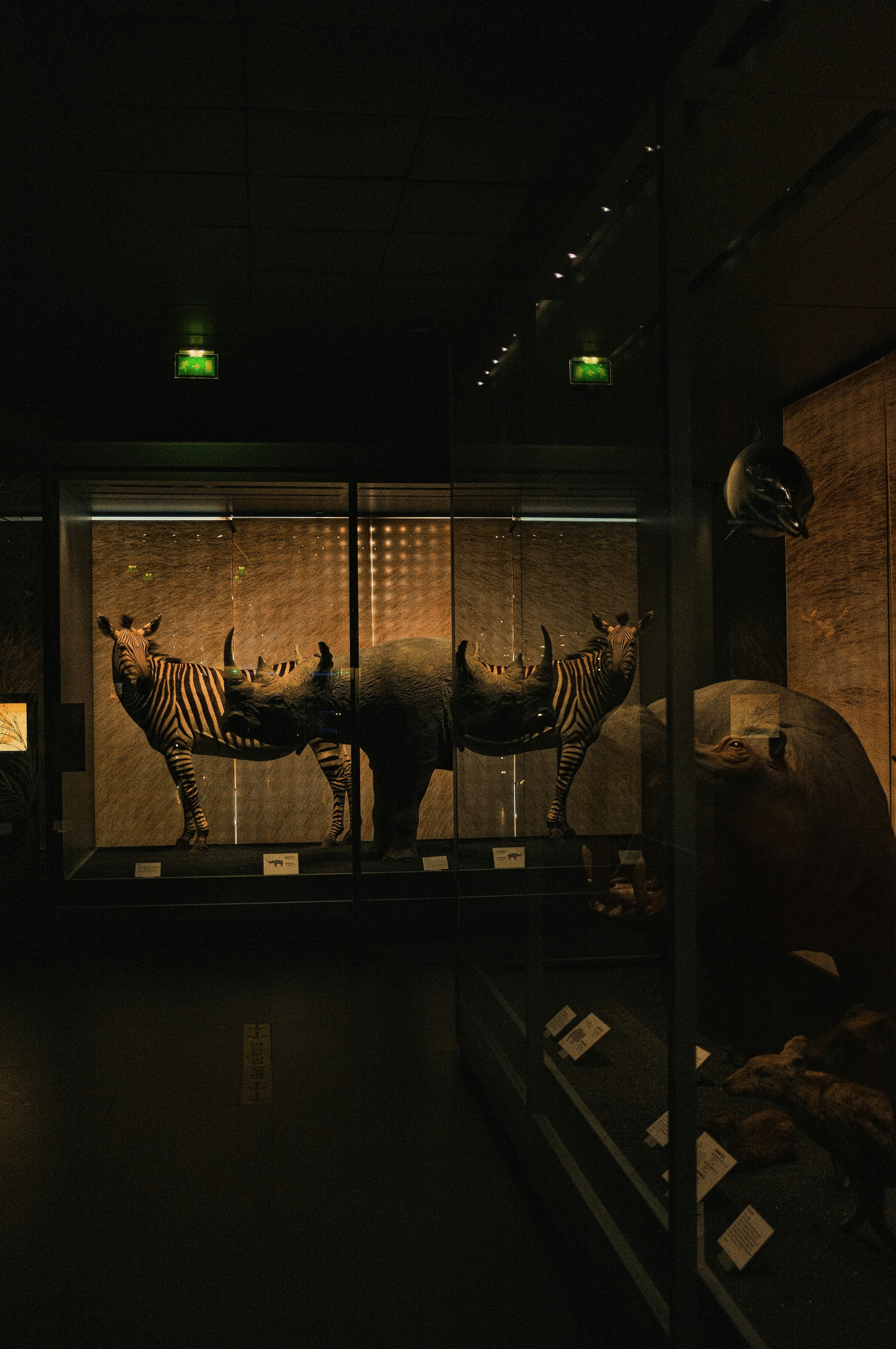 Museum of Prehistoric Thera