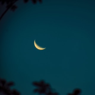 A crescent moon silhouette framed by dark green and gold accents against a twilight sky.