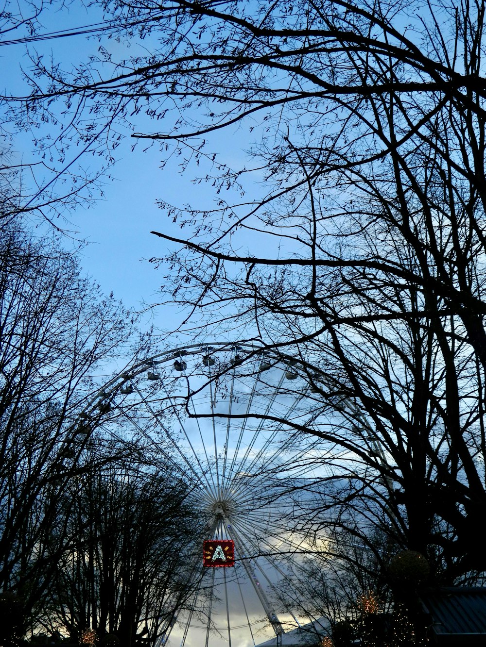 a ferris wheel surrounded by trees and a blue sky