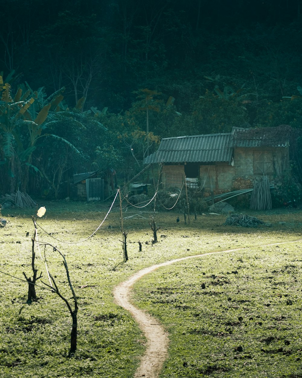 a dirt path winds through a grassy field