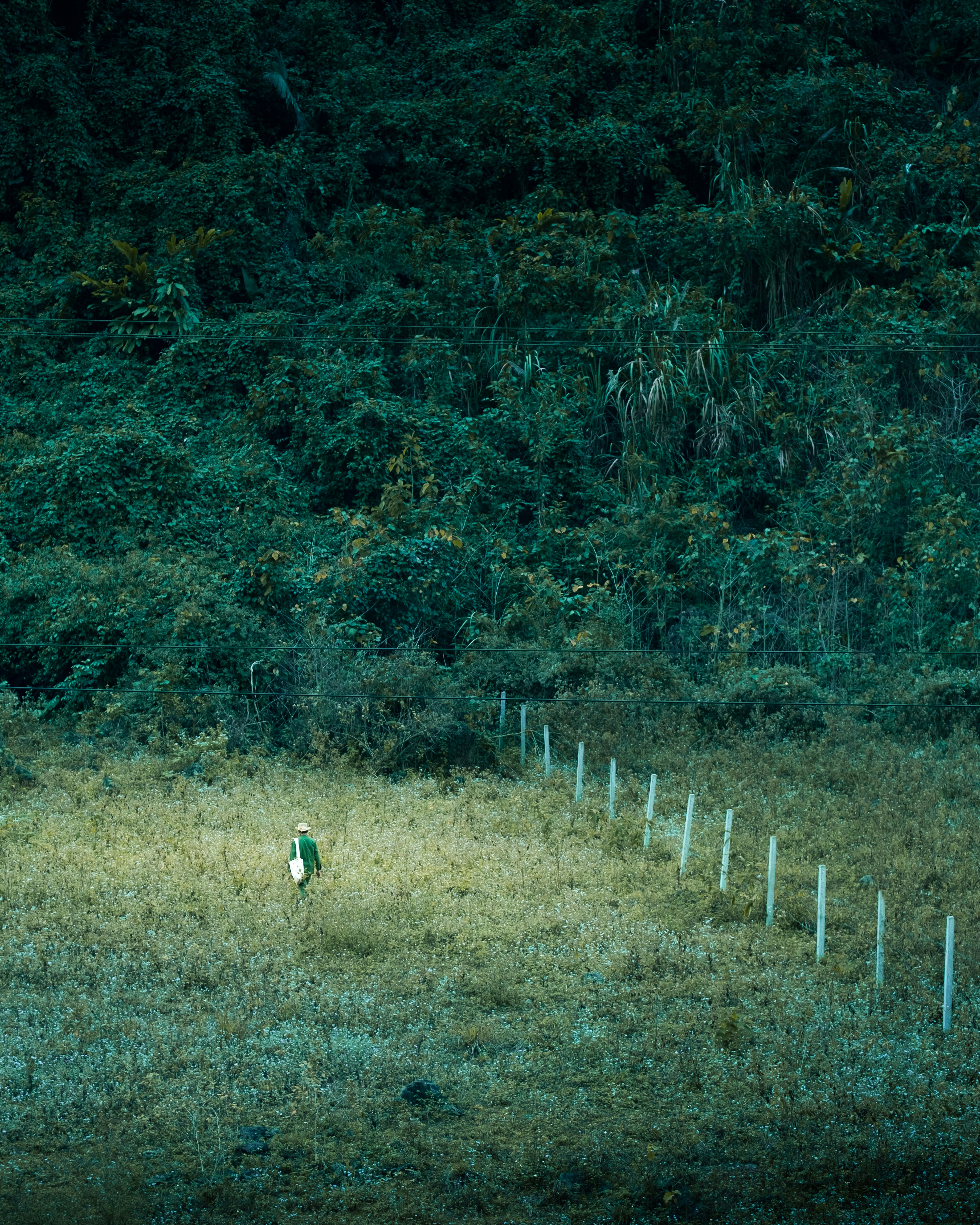 Photo by lightsbee