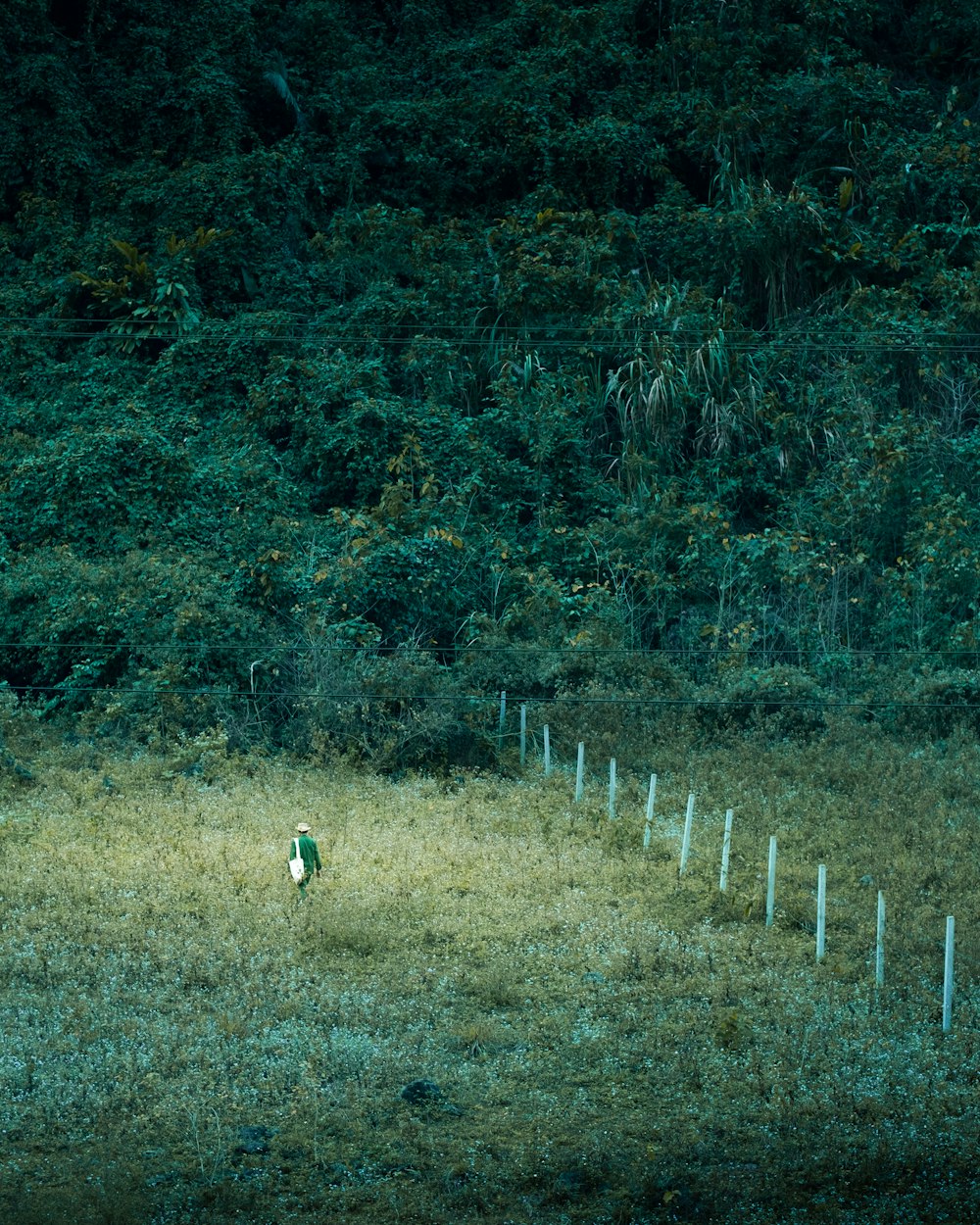 a lone cow standing in a field of grass