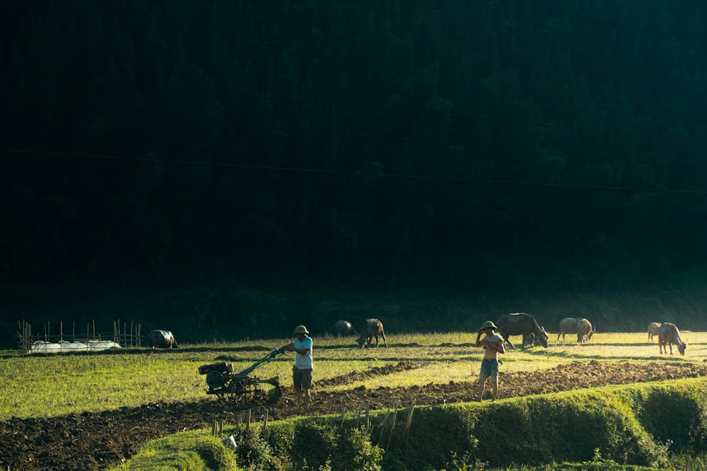 a group of people working in a field