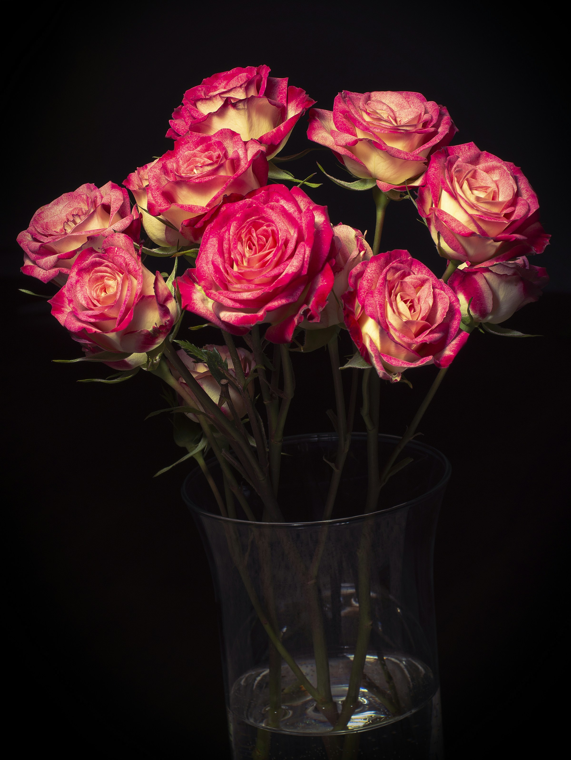 Photo by fdzphotography