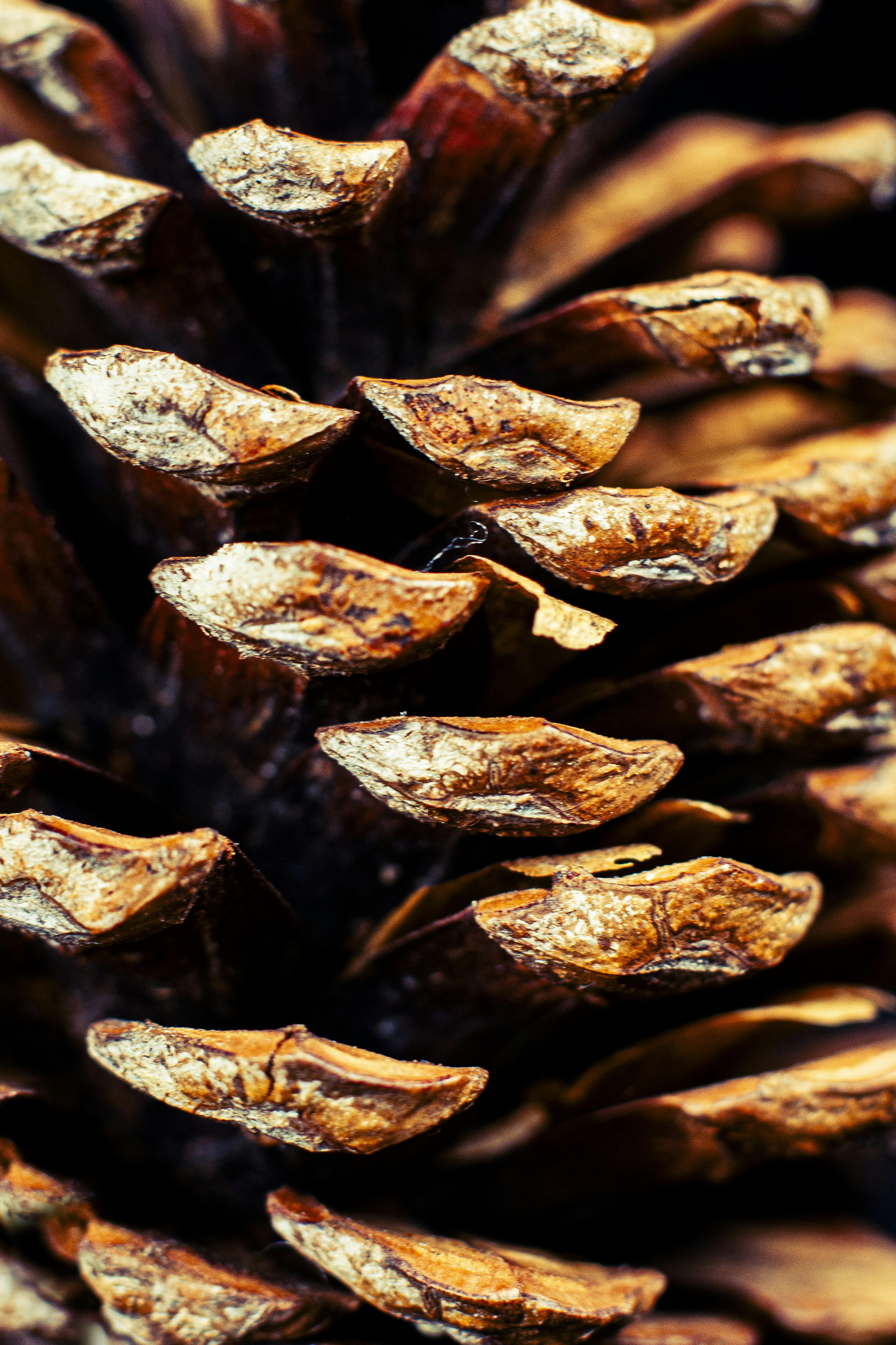 Photo by fdzphotography