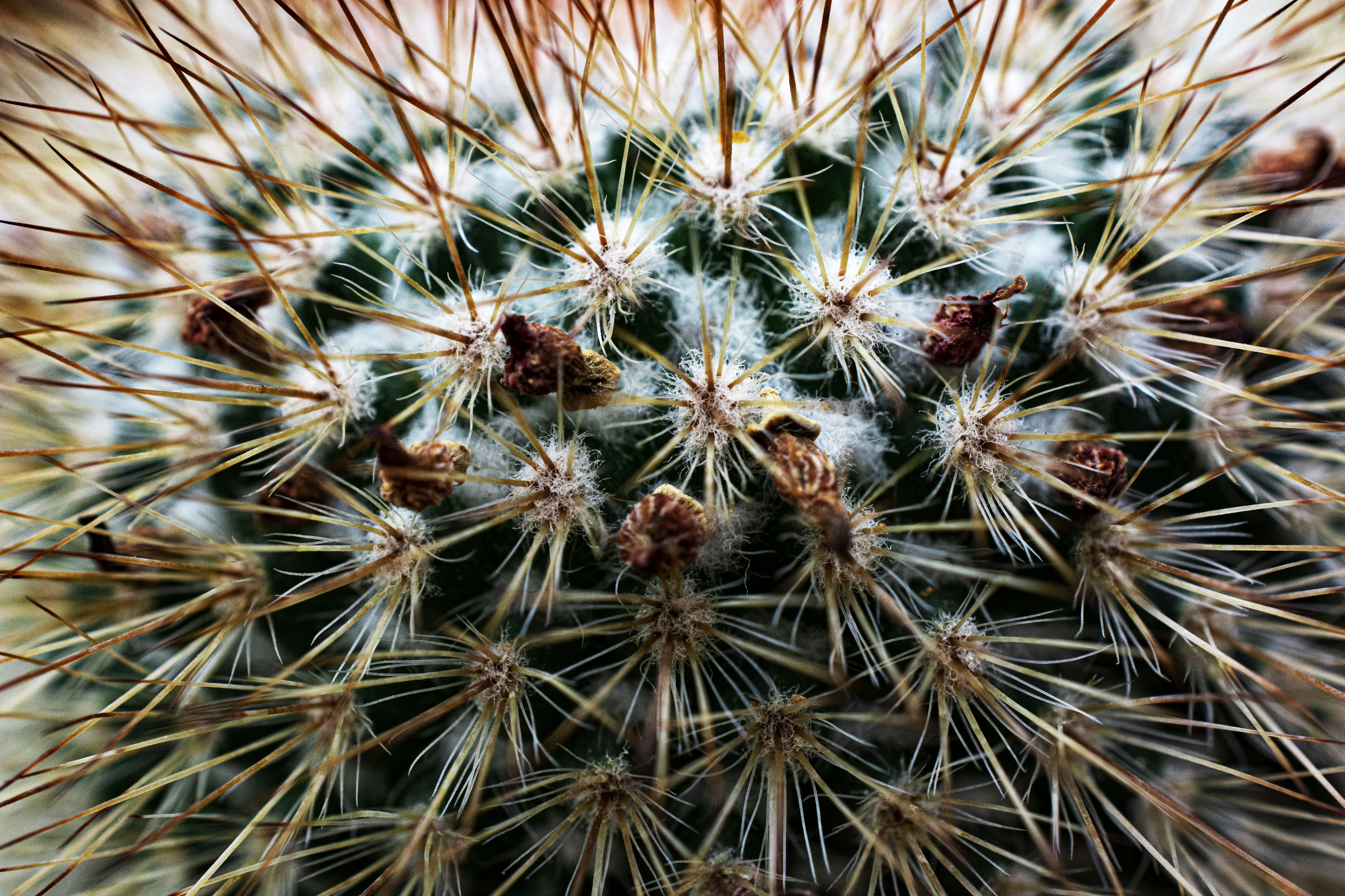 Photo by fdzphotography