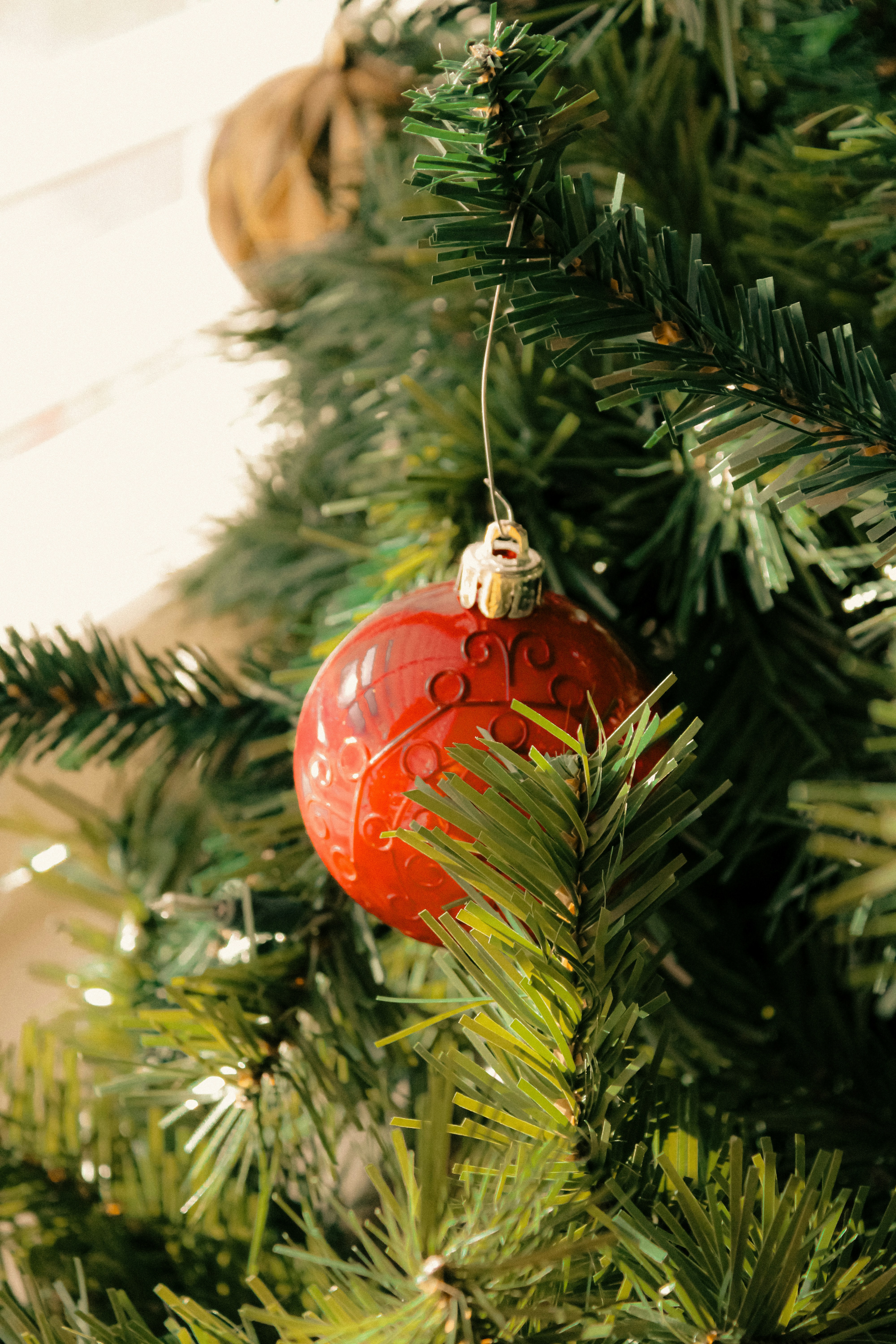 Photo by linusbelanger